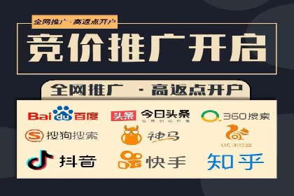 百度竞价入门必看：实操技巧与成功案例